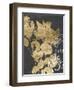 Postage Leaves IV-Jennifer Goldberger-Framed Art Print