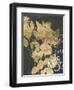 Postage Leaves IV-Jennifer Goldberger-Framed Art Print