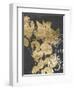 Postage Leaves IV-Jennifer Goldberger-Framed Art Print