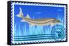 Postage Stamp. Sturgeon-GUARDING-OWO-Framed Stretched Canvas