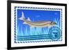 Postage Stamp. Sturgeon-GUARDING-OWO-Framed Premium Giclee Print