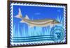 Postage Stamp. Sturgeon-GUARDING-OWO-Framed Art Print