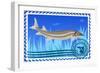 Postage Stamp. Sturgeon-GUARDING-OWO-Framed Art Print