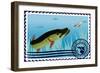 Postage Stamp. The Hunt For Pike-GUARDING-OWO-Framed Art Print