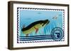 Postage Stamp. The Hunt For Pike-GUARDING-OWO-Framed Premium Giclee Print