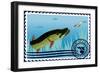 Postage Stamp. The Hunt For Pike-GUARDING-OWO-Framed Premium Giclee Print