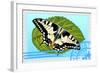 Postage Stamp With A Butterfly-GUARDING-OWO-Framed Art Print