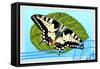 Postage Stamp With A Butterfly-GUARDING-OWO-Framed Stretched Canvas