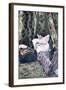 Postcard Depicting a Girl in a Brothel, Before 1914-null-Framed Giclee Print