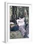 Postcard Depicting a Girl in a Brothel, Before 1914-null-Framed Giclee Print