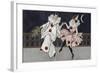 Postcard Depicting Pierrot and His Companion, c.1900-Florence Hardy-Framed Giclee Print