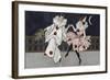 Postcard Depicting Pierrot and His Companion, c.1900-Florence Hardy-Framed Giclee Print