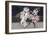 Postcard Depicting Pierrot and His Companion, c.1900-Florence Hardy-Framed Giclee Print