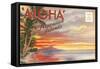 Postcard Folder, Aloha, Hawaiian Islands-null-Framed Stretched Canvas