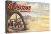 Postcard Folder, Arizona-null-Stretched Canvas
