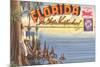 Postcard Folder, Florida-null-Mounted Art Print