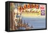 Postcard Folder, Florida-null-Framed Stretched Canvas