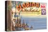 Postcard Folder, Florida-null-Stretched Canvas