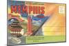 Postcard Folder, Memphis, Tennessee, Down in Dixie-null-Mounted Art Print