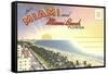 Postcard Folder, Miami, Florida-null-Framed Stretched Canvas