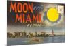 Postcard Folder, Moon over Miami, Florida-null-Mounted Art Print