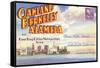 Postcard Folder, Oakland, Berkeley, Alameda, California-null-Framed Stretched Canvas