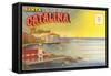 Postcard Folder, Santa Catalina, California-null-Framed Stretched Canvas