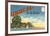 Postcard Folder, Souvenir of Orlando, Florida-null-Framed Art Print