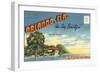 Postcard Folder, Souvenir of Orlando, Florida-null-Framed Art Print