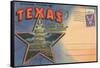 Postcard Folder, Souvenir of Texas-null-Framed Stretched Canvas