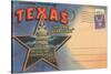 Postcard Folder, Souvenir of Texas-null-Stretched Canvas