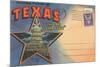 Postcard Folder, Souvenir of Texas-null-Mounted Premium Giclee Print