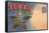 Postcard Folder, Souvenir of Texas-null-Framed Stretched Canvas