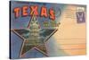 Postcard Folder, Souvenir of Texas-null-Stretched Canvas