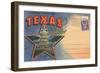 Postcard Folder, Souvenir of Texas-null-Framed Art Print