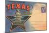 Postcard Folder, Souvenir of Texas-null-Mounted Art Print