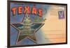 Postcard Folder, Souvenir of Texas-null-Framed Art Print