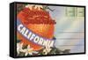 Postcard Folder, Sunny Southern California-null-Framed Stretched Canvas