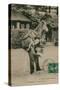 Postcard of a Man Carrying a Donkey, Sent in 1913-French Photographer-Stretched Canvas
