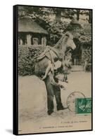 Postcard of a Man Carrying a Donkey, Sent in 1913-French Photographer-Framed Stretched Canvas