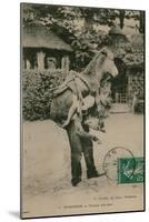 Postcard of a Man Carrying a Donkey, Sent in 1913-French Photographer-Mounted Giclee Print