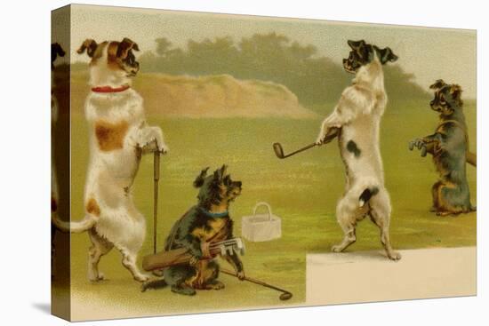 Postcard of Dogs Golfing-null-Stretched Canvas