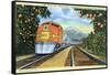 Postcard of the 'Super Chief' of the Santa Fe Railroad, Passing Through Orange Groves, 1950S-null-Framed Stretched Canvas