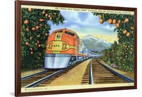 Postcard of the 'Super Chief' of the Santa Fe Railroad, Passing Through Orange Groves, 1950S-null-Framed Giclee Print