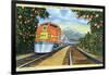 Postcard of the 'Super Chief' of the Santa Fe Railroad, Passing Through Orange Groves, 1950S-null-Framed Giclee Print