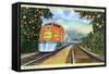 Postcard of the 'Super Chief' of the Santa Fe Railroad, Passing Through Orange Groves, 1950S-null-Framed Stretched Canvas