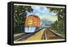 Postcard of the 'Super Chief' of the Santa Fe Railroad, Passing Through Orange Groves, 1950S-null-Framed Stretched Canvas