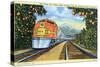 Postcard of the 'Super Chief' of the Santa Fe Railroad, Passing Through Orange Groves, 1950S-null-Stretched Canvas