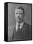 Postcard of Theodore Roosevelt 26th President of the U.S-null-Framed Stretched Canvas