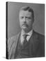 Postcard of Theodore Roosevelt 26th President of the U.S-null-Stretched Canvas
